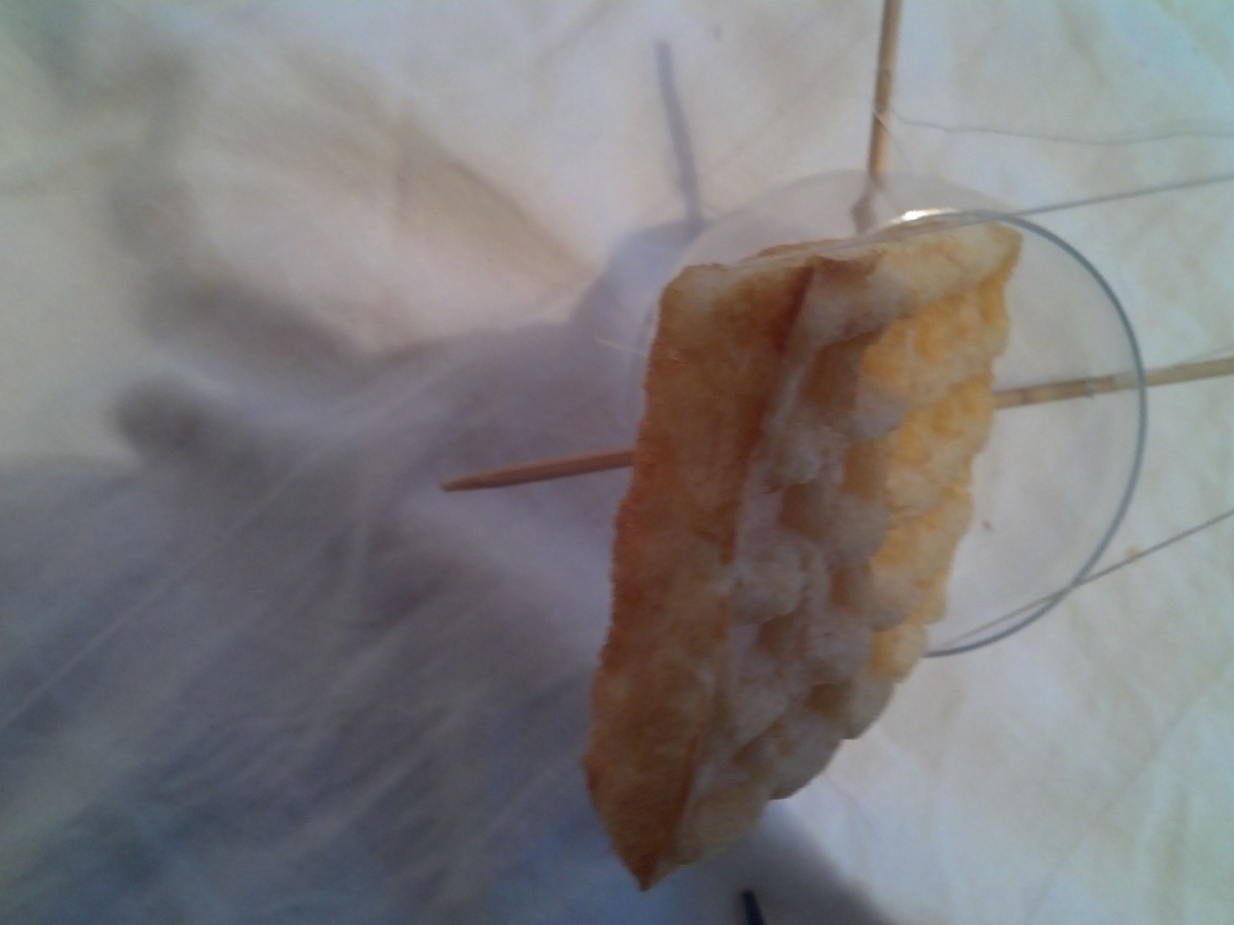 Simple Yogurt Pot Bird Feeder 7 Steps (with Pictures) Instructables