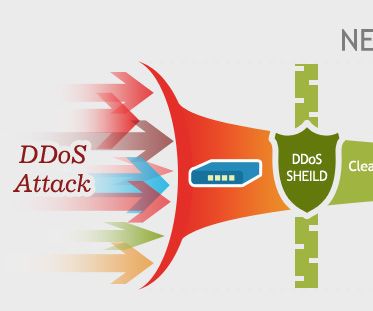  What Exactly Are the Advantages of Ddos Shielded Vps