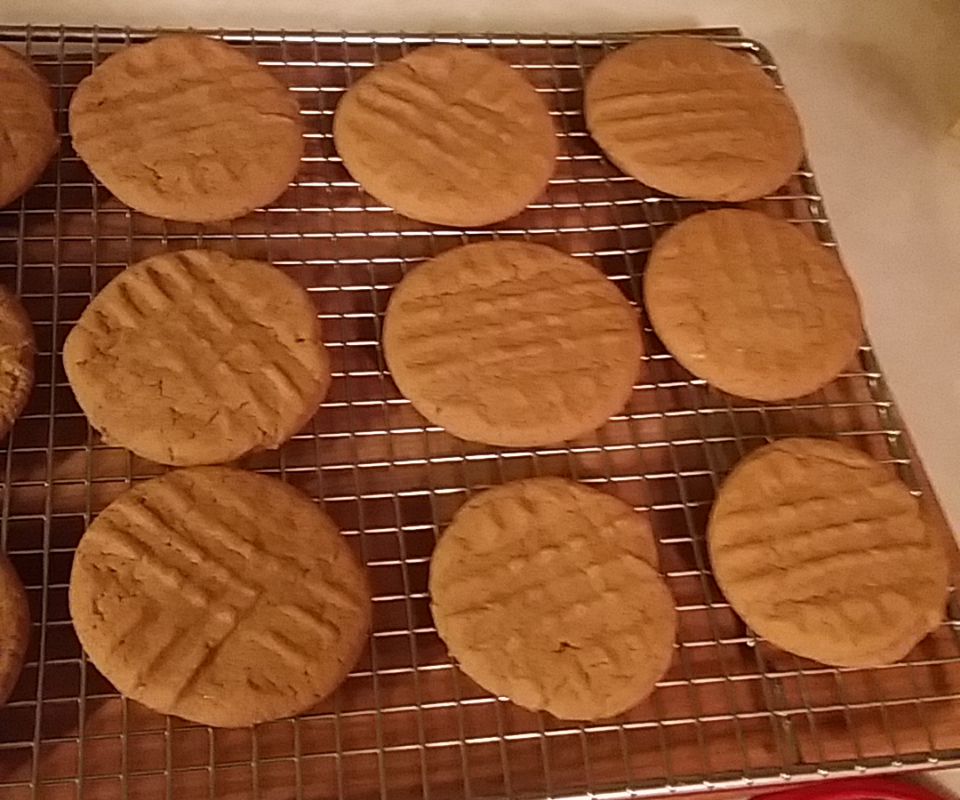 Old Time Gingersnaps