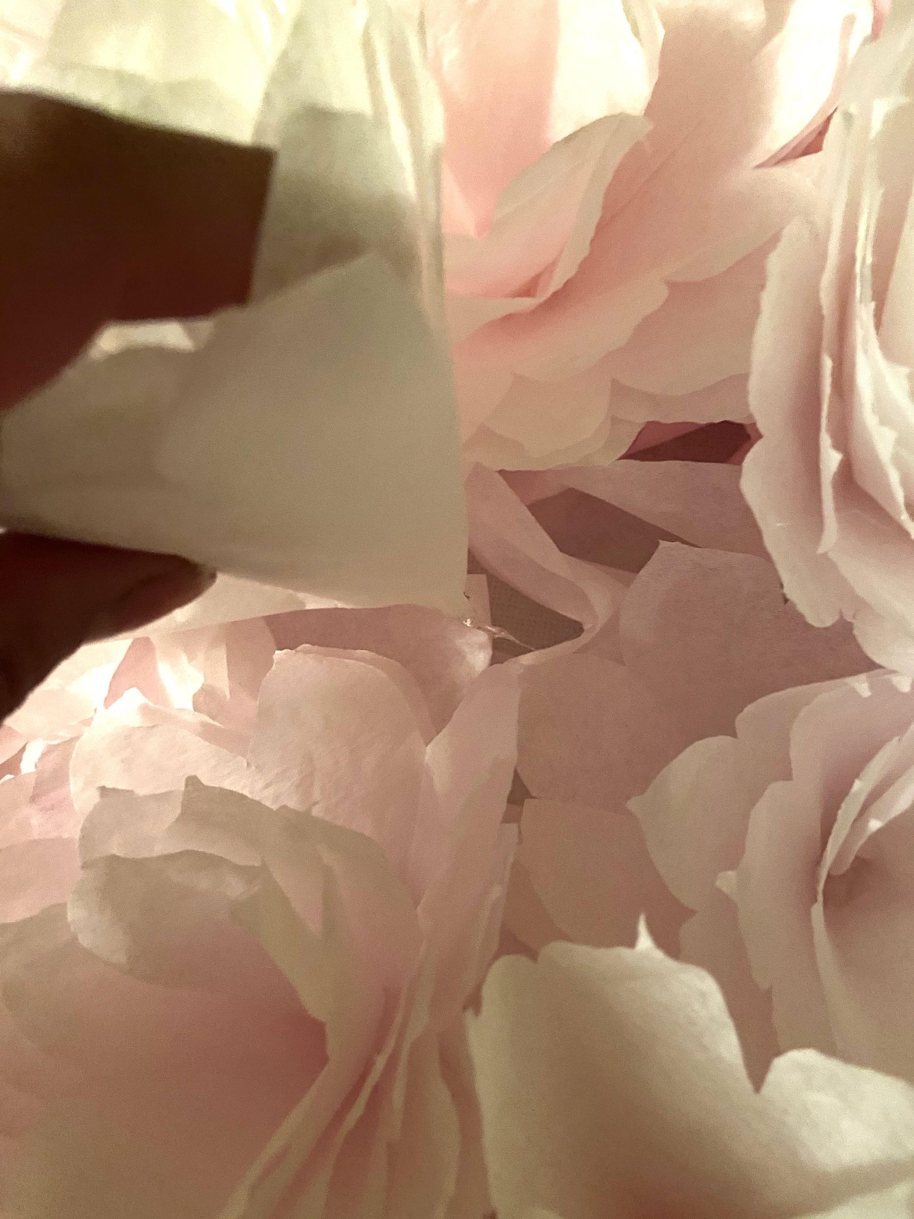 DIY Coffee Filter Flower Wall 10 Steps (with Pictures) Instructables