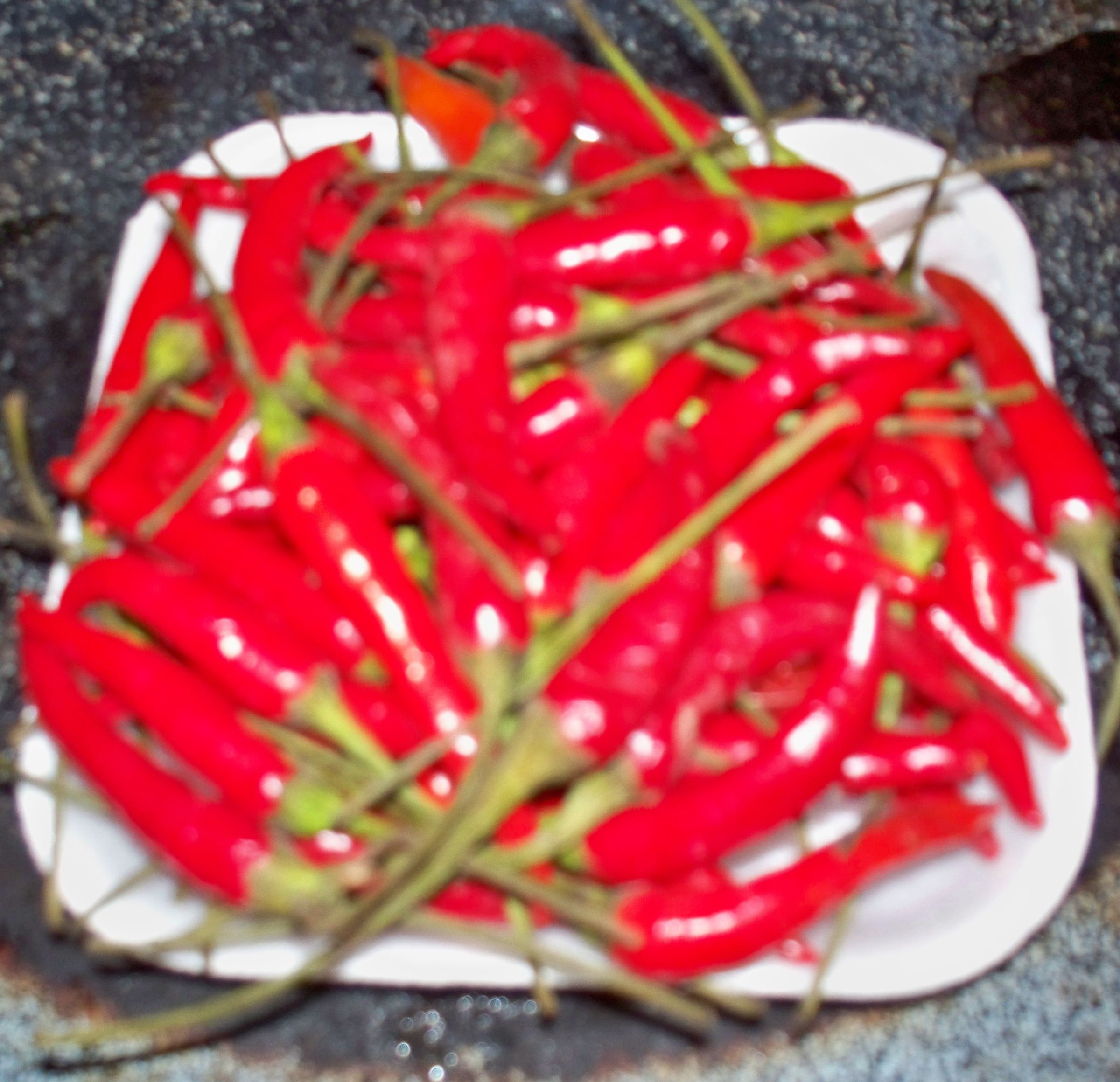 infused-olive-oil-3-steps-with-pictures-instructables