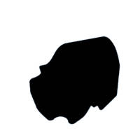 download {{ file.name }}