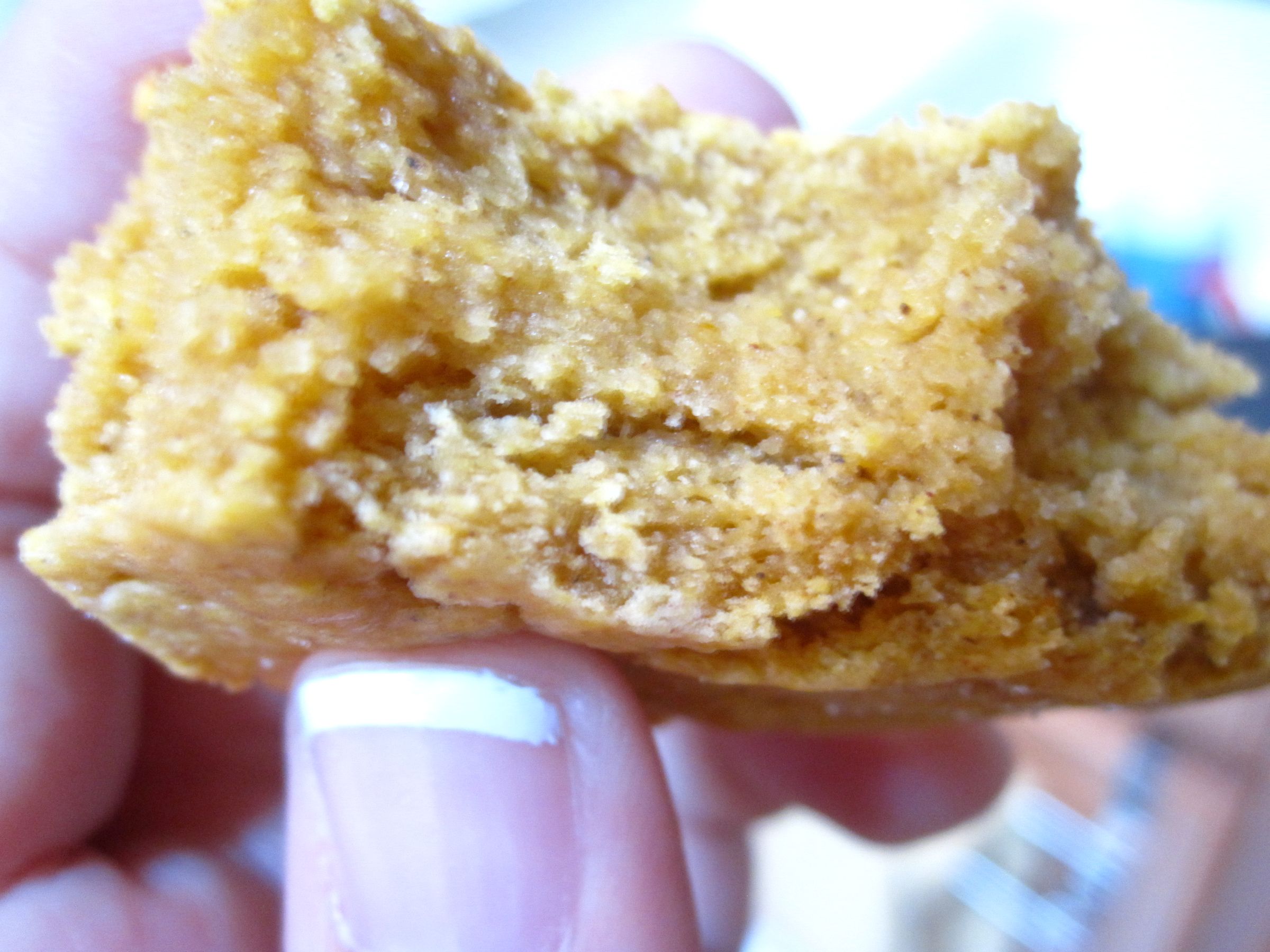 Sweet or Savory Gluten-free Biscuits