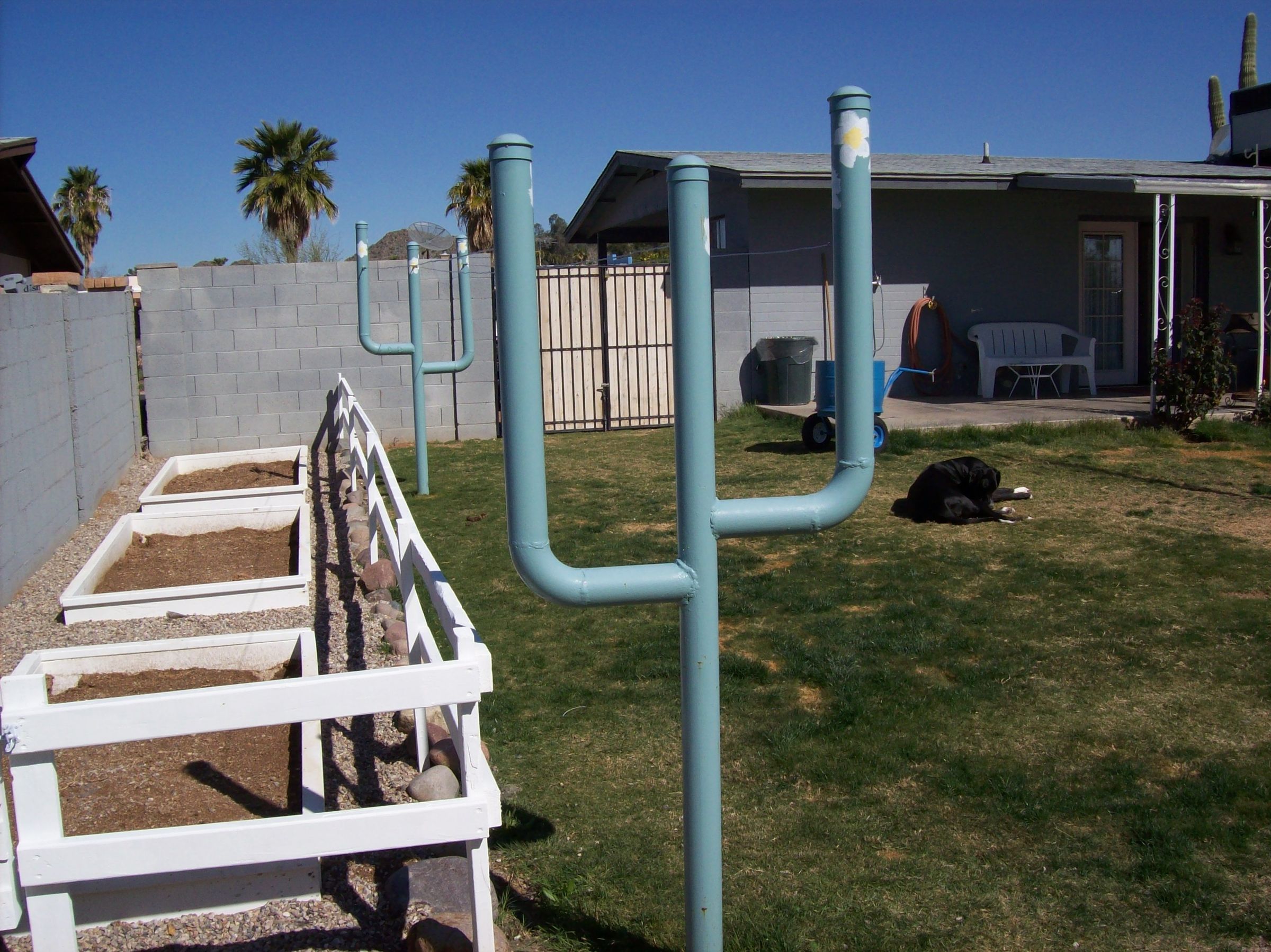 Cactus Clothes Line
