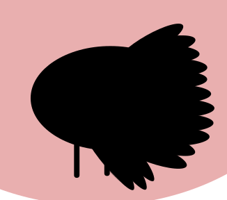 Designing the Body of the Turkey