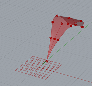 Creating the Petals and Leaves