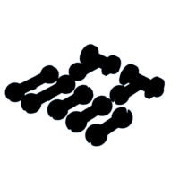 download {{ file.name }}