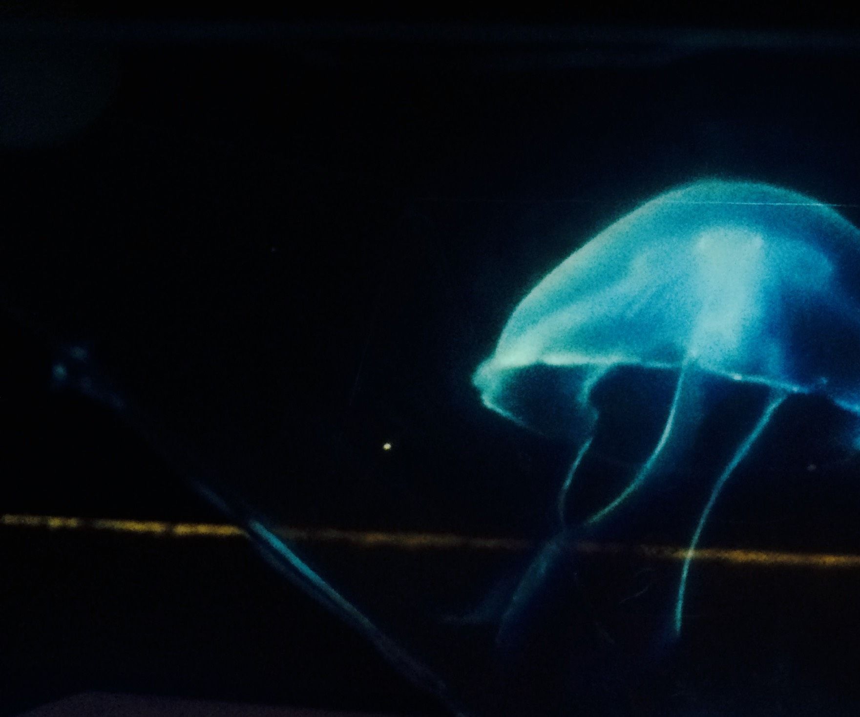Homemade Hologram Projection