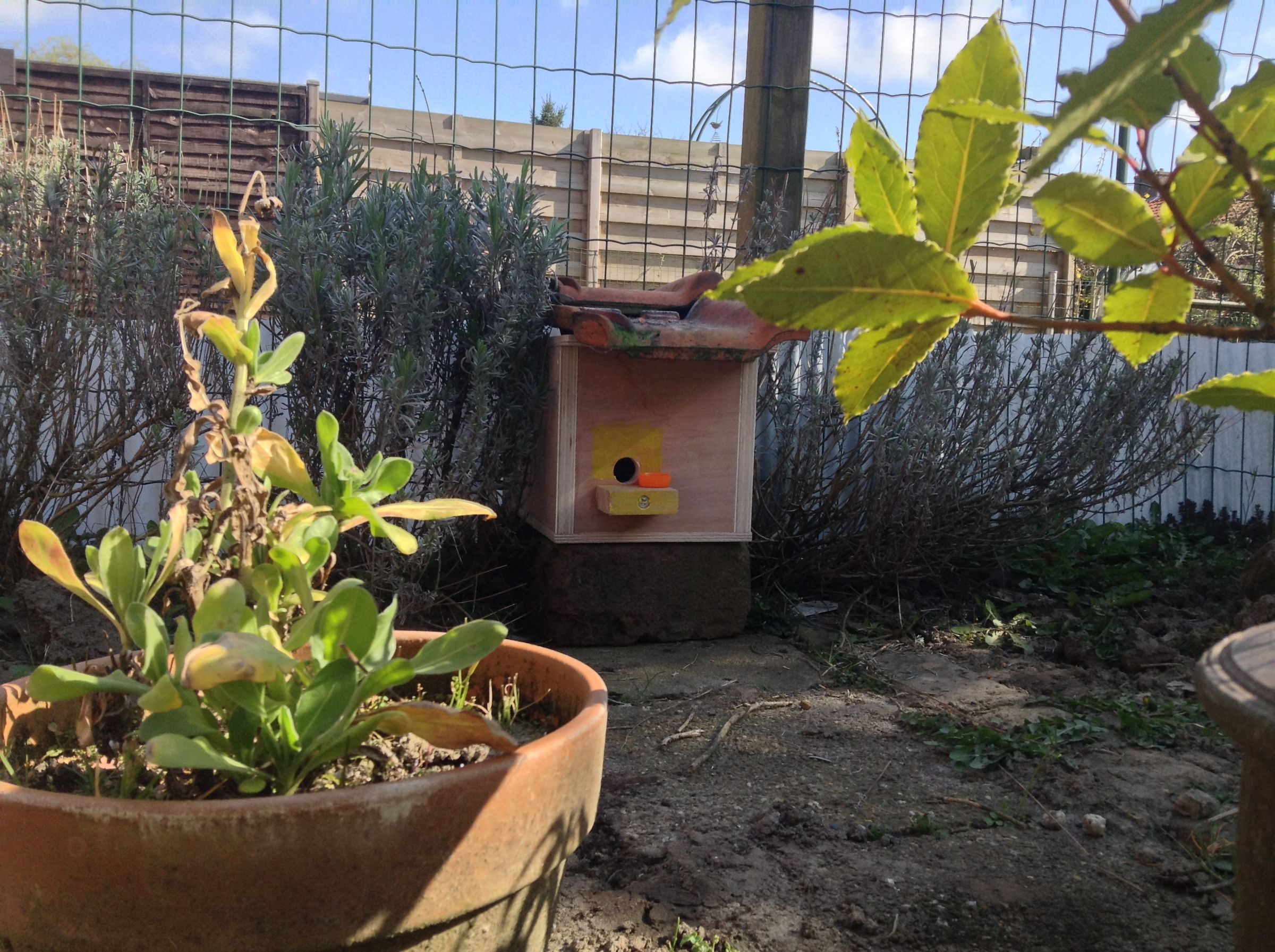 Build a Nest Box for Bumblebees