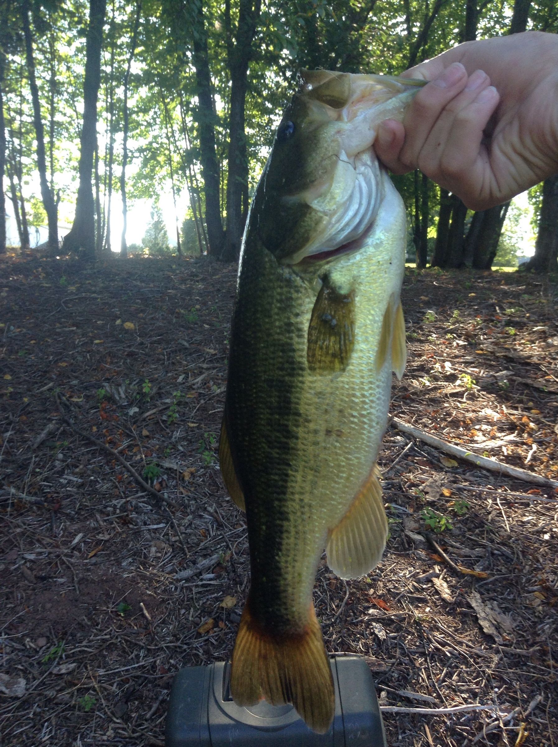 Guide to Fresh Water Fishing