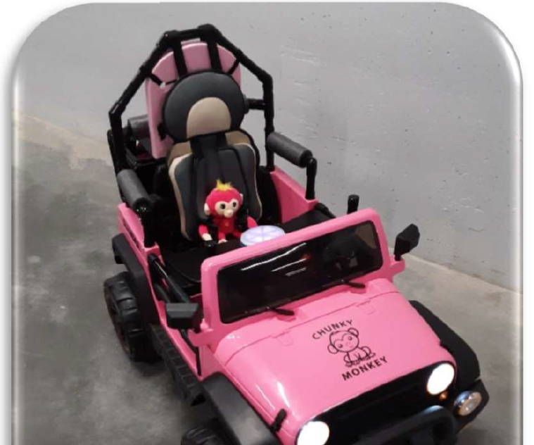 Irasema Build Report - Removable Storage Bay and Internally Lighted Button