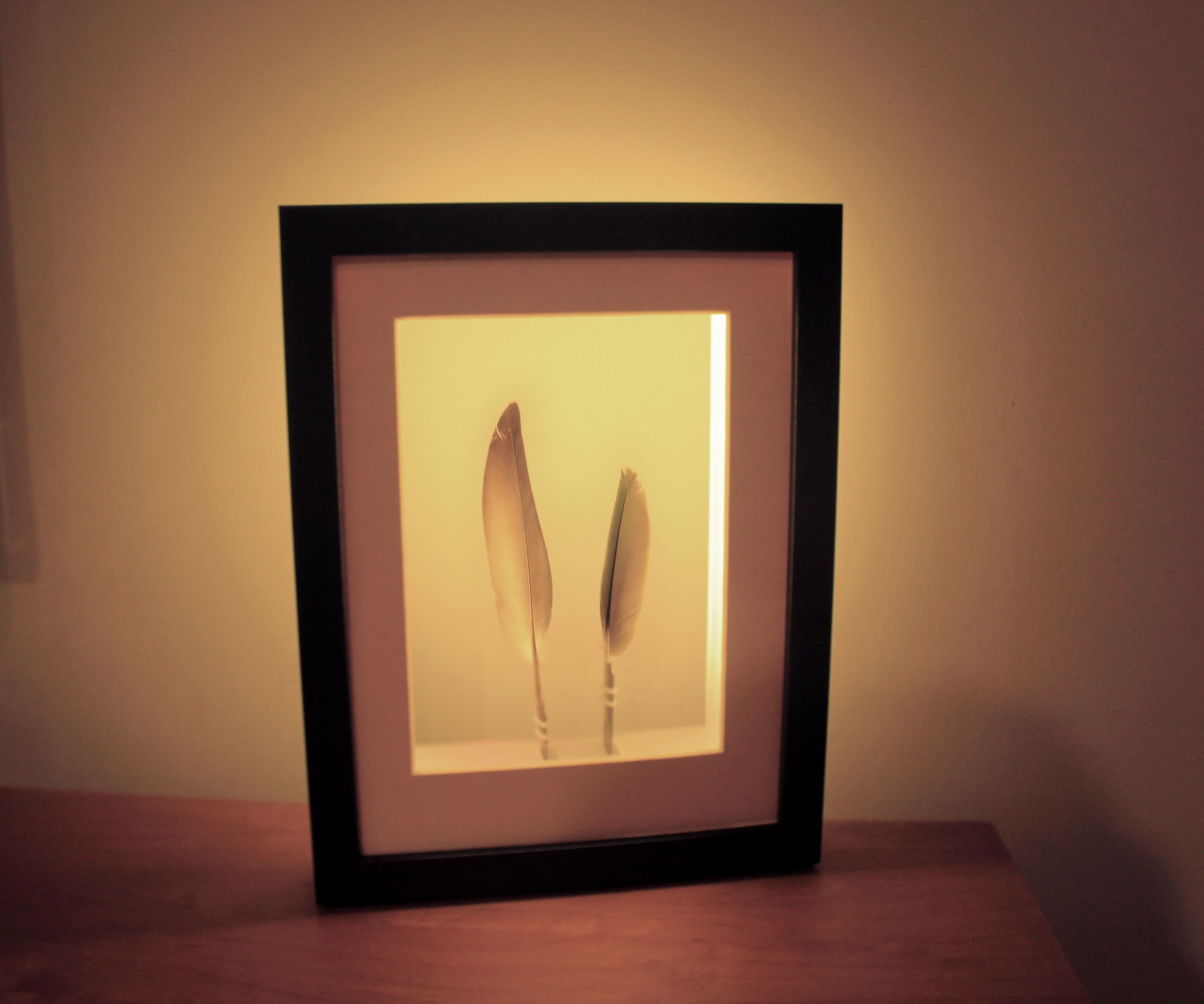 IKEA Frame Hack > SLOMO (Slow Motion) Frame