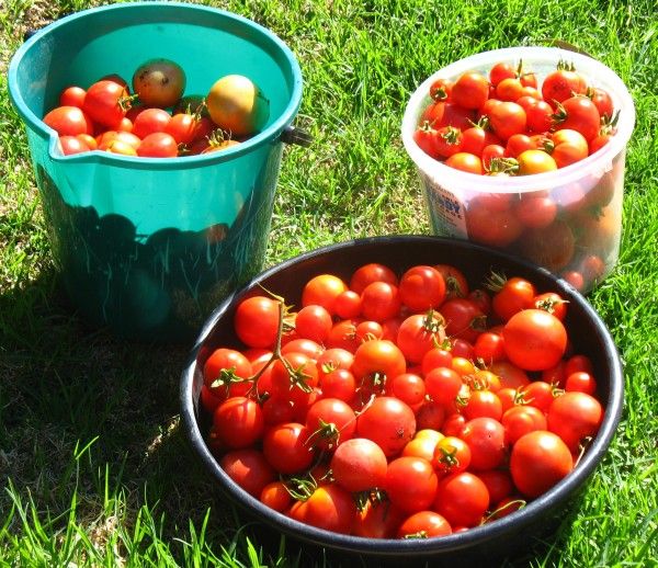 Reconfigurable Vegetable Garden Watering System