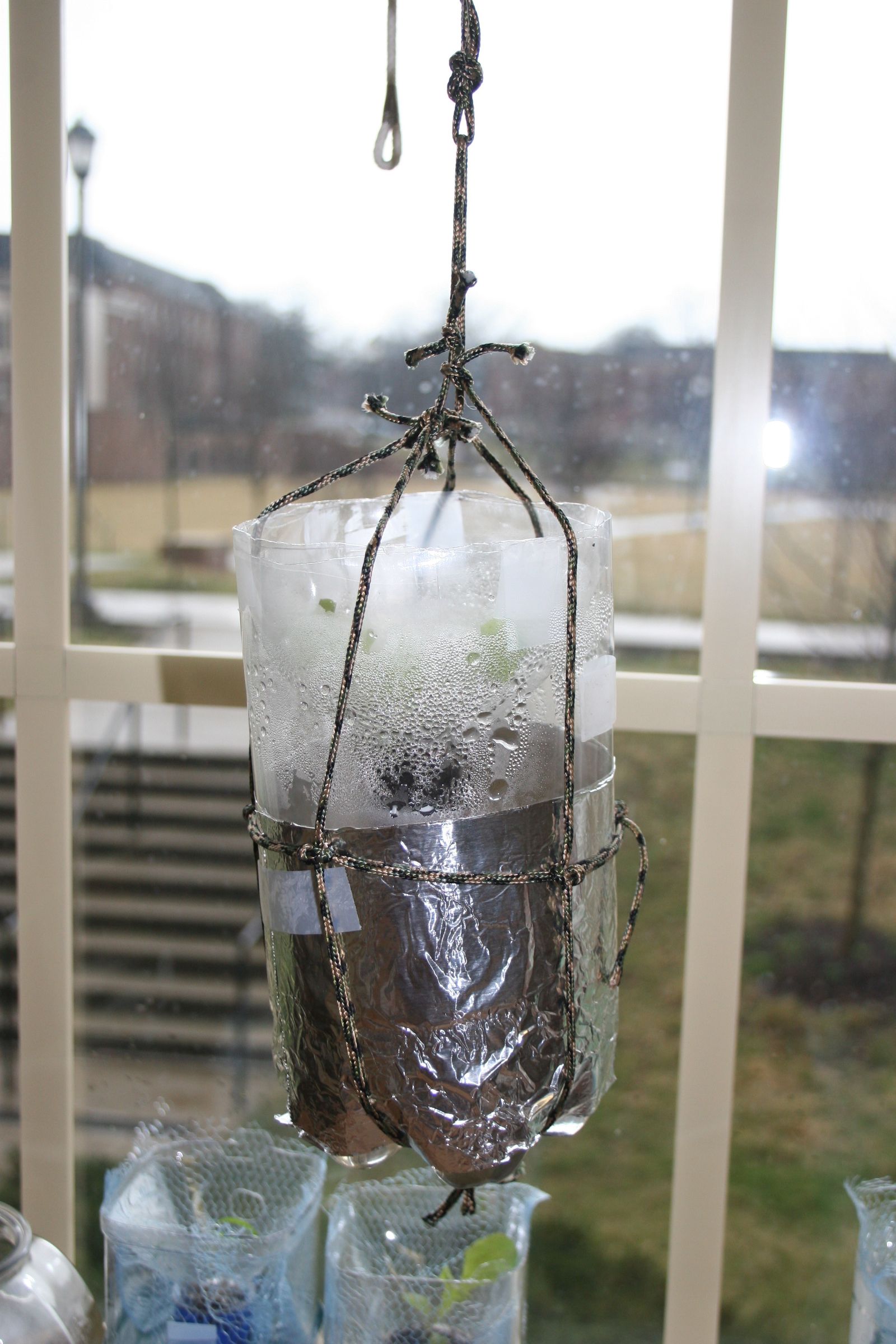 Hydroponic Lettuce Garden From Plastic Bottles (Grow Bottles) : 11 ...