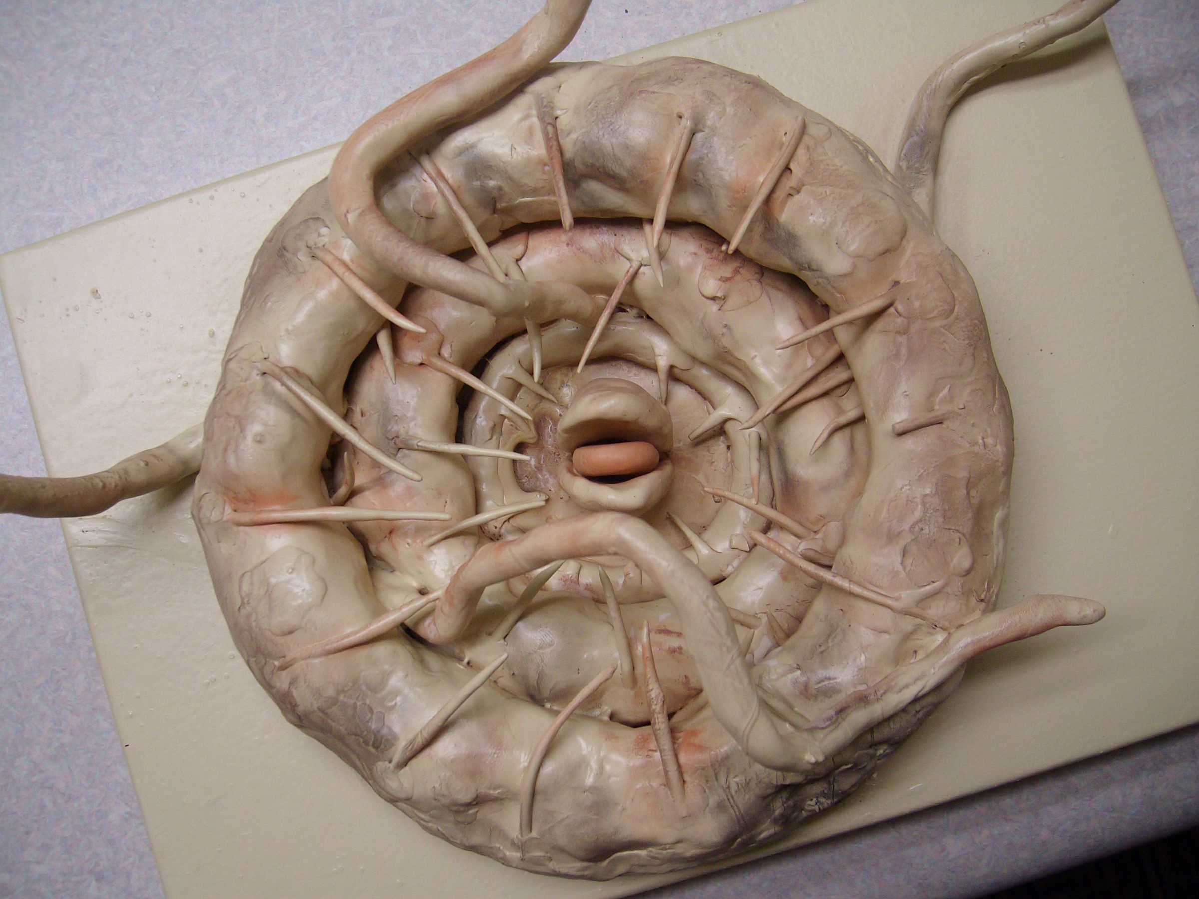 Sarlacc Valentine's Box