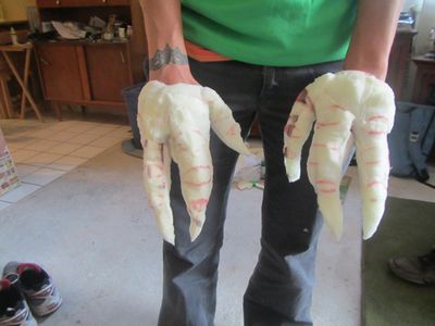 The Hands (and Feet)