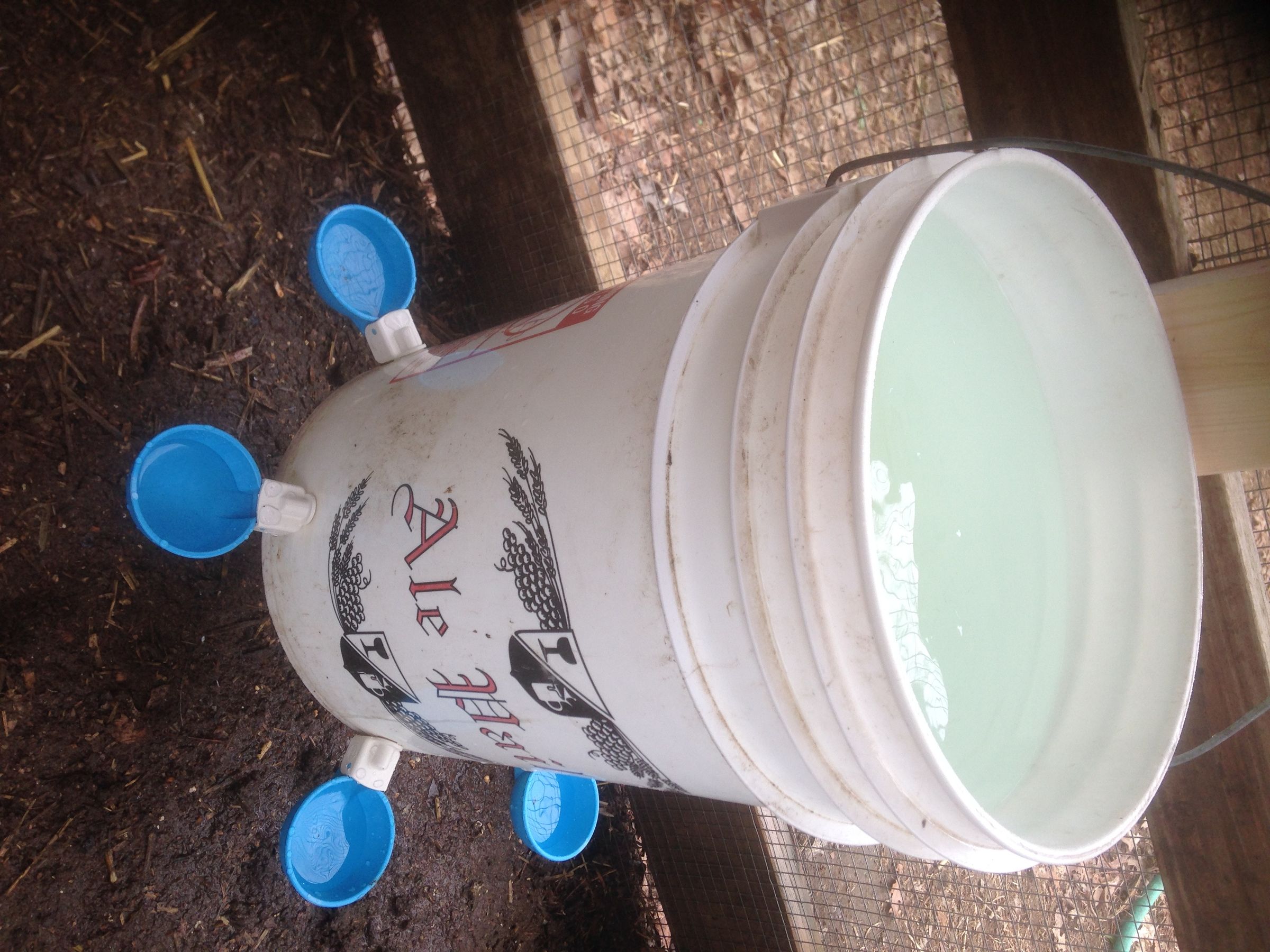 Chicken Fix'n Super Simple Chicken Waterer, Chicken Chunnels and 50