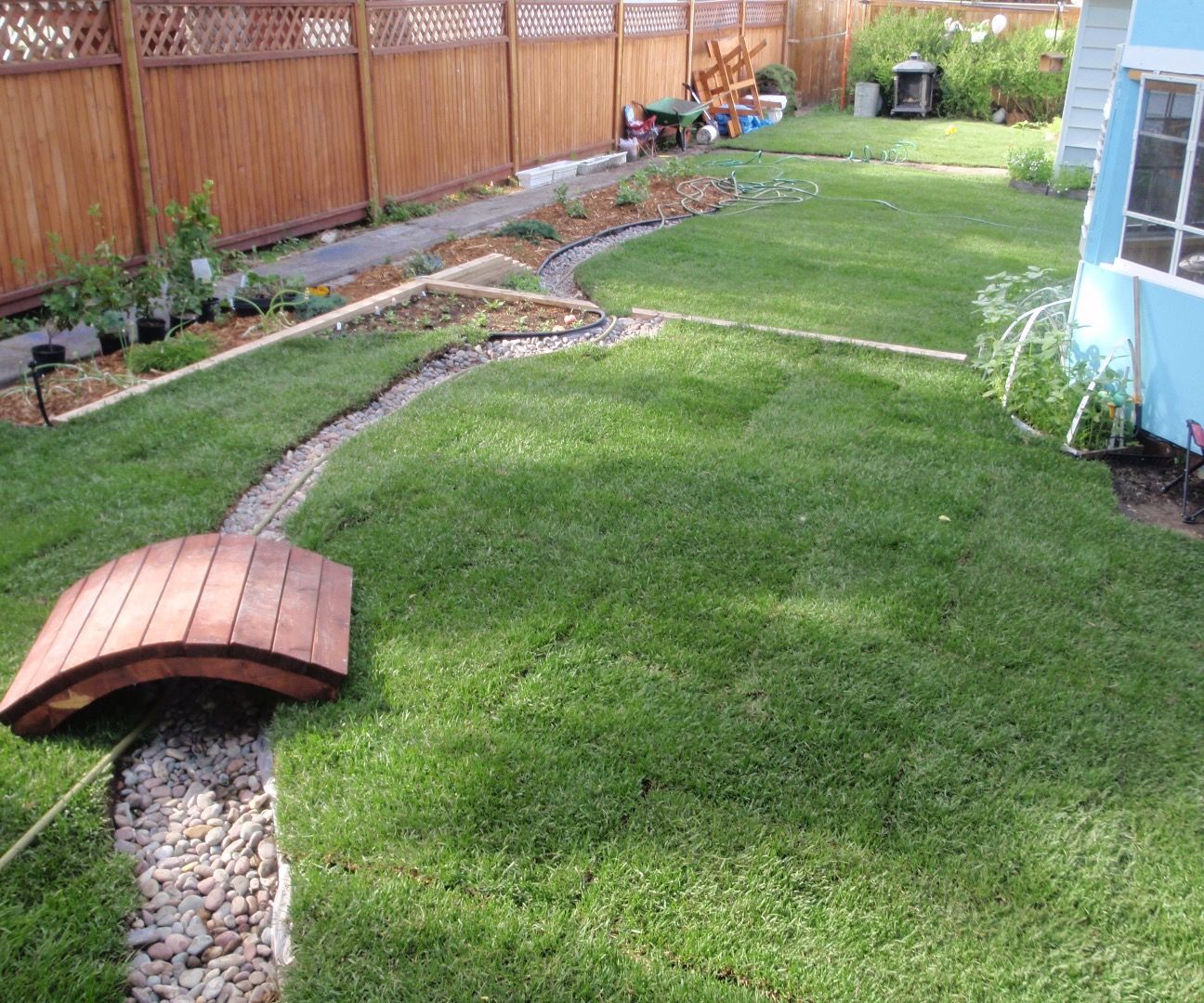 Restore a Backyard With Dead Soil (Before and After)