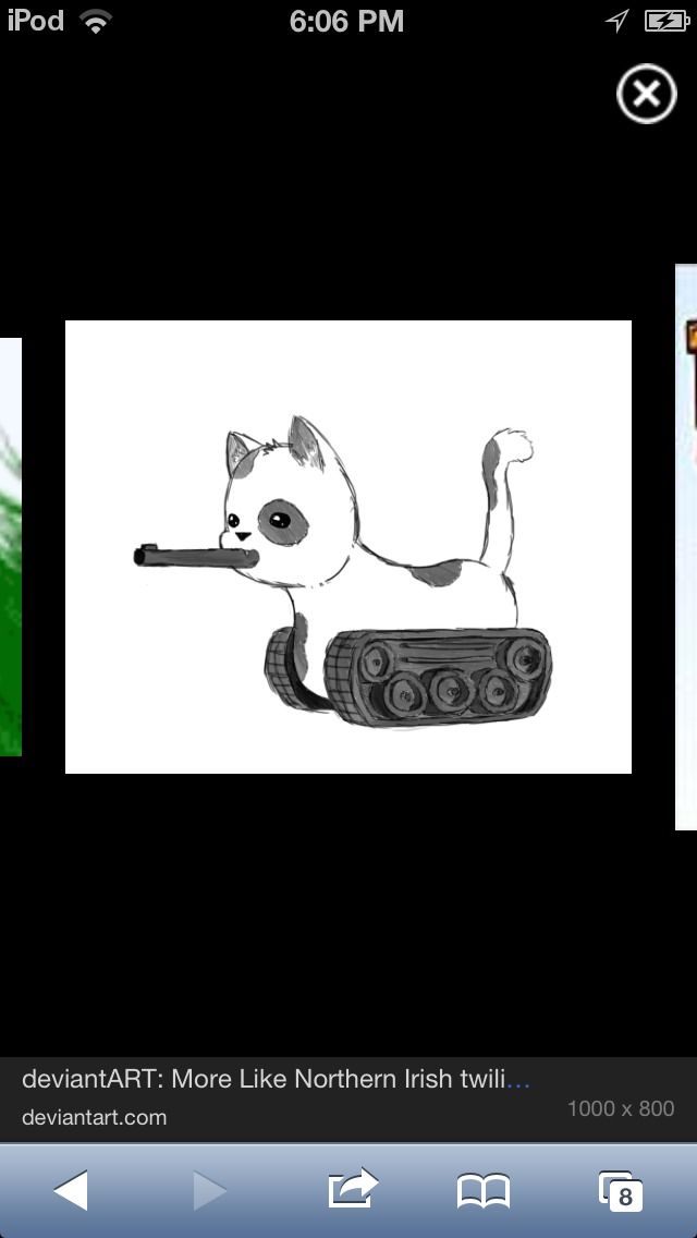 How to Catch a Wild Kitten Beast!