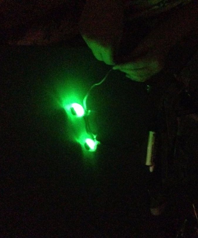 LED light up googley eyes