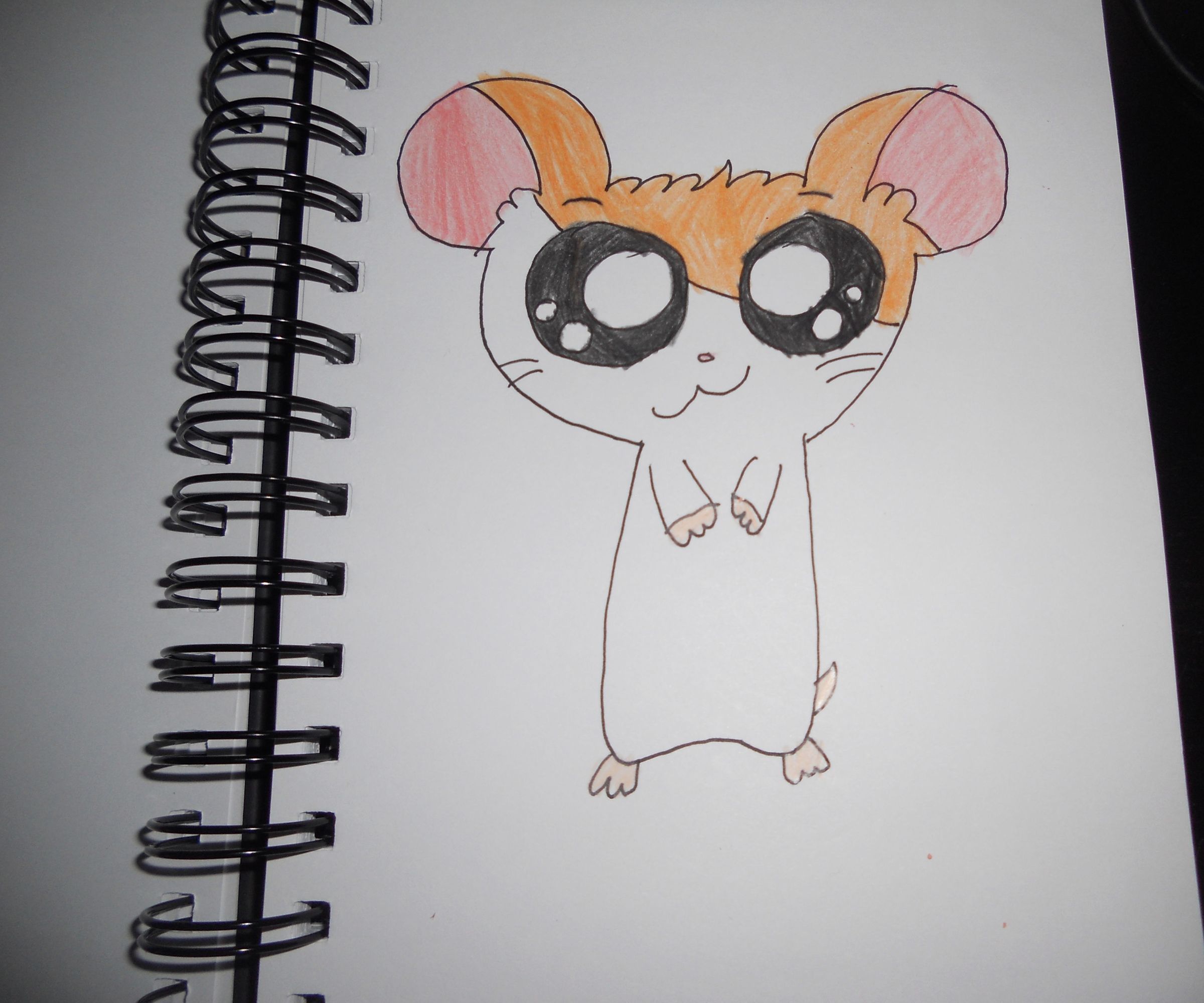 How to Draw Hamtaro!