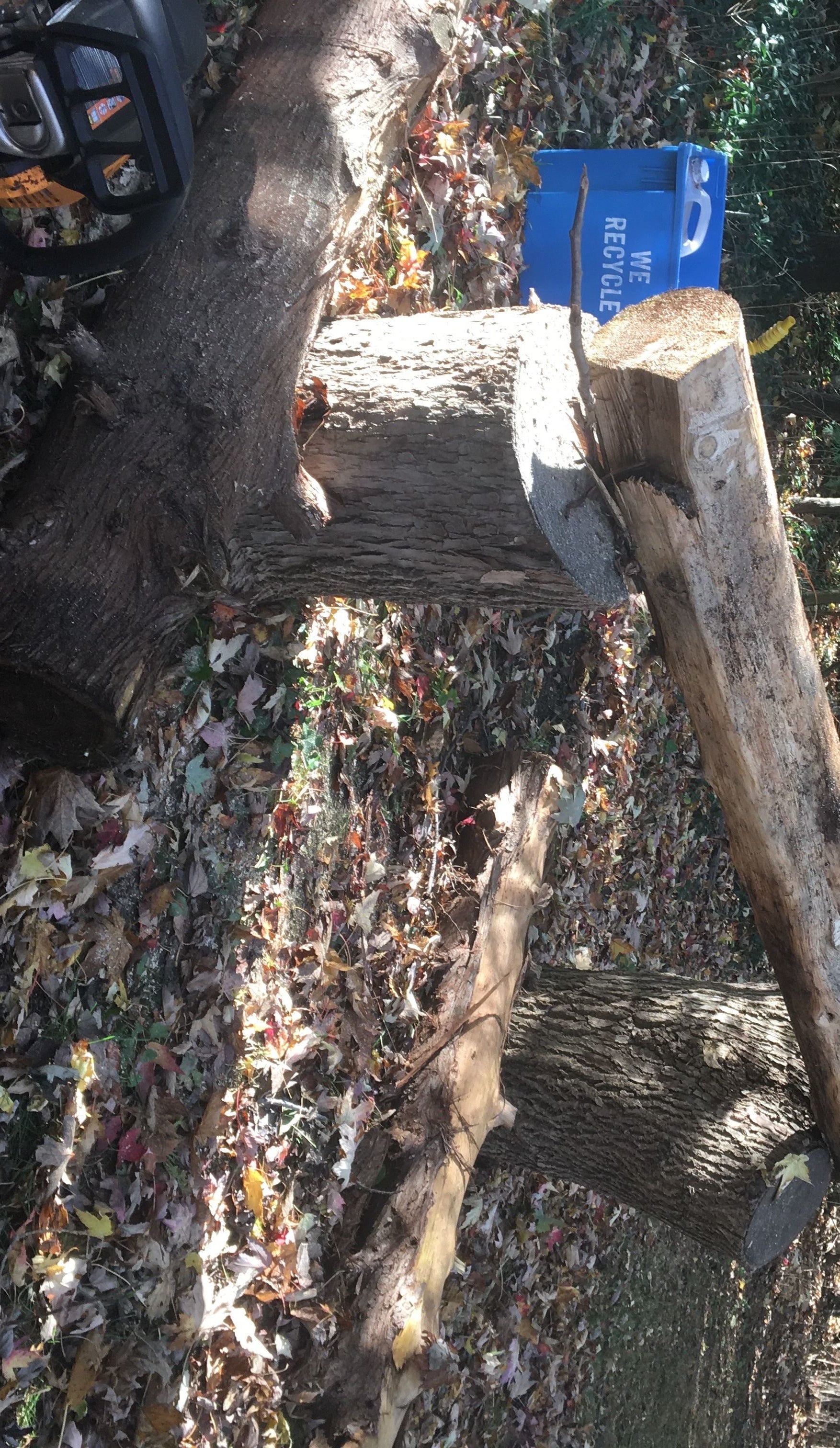 Cutting Wood Slabs With a Chainsaw Mill 5 Steps (with Pictures