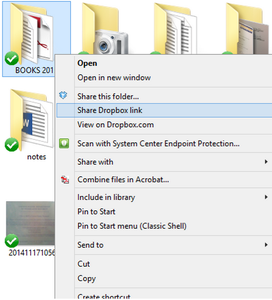 Obtain Your Dropbox Link