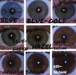 Make Brown Eyes Sparkle! Complementary Eye Color Tutorial