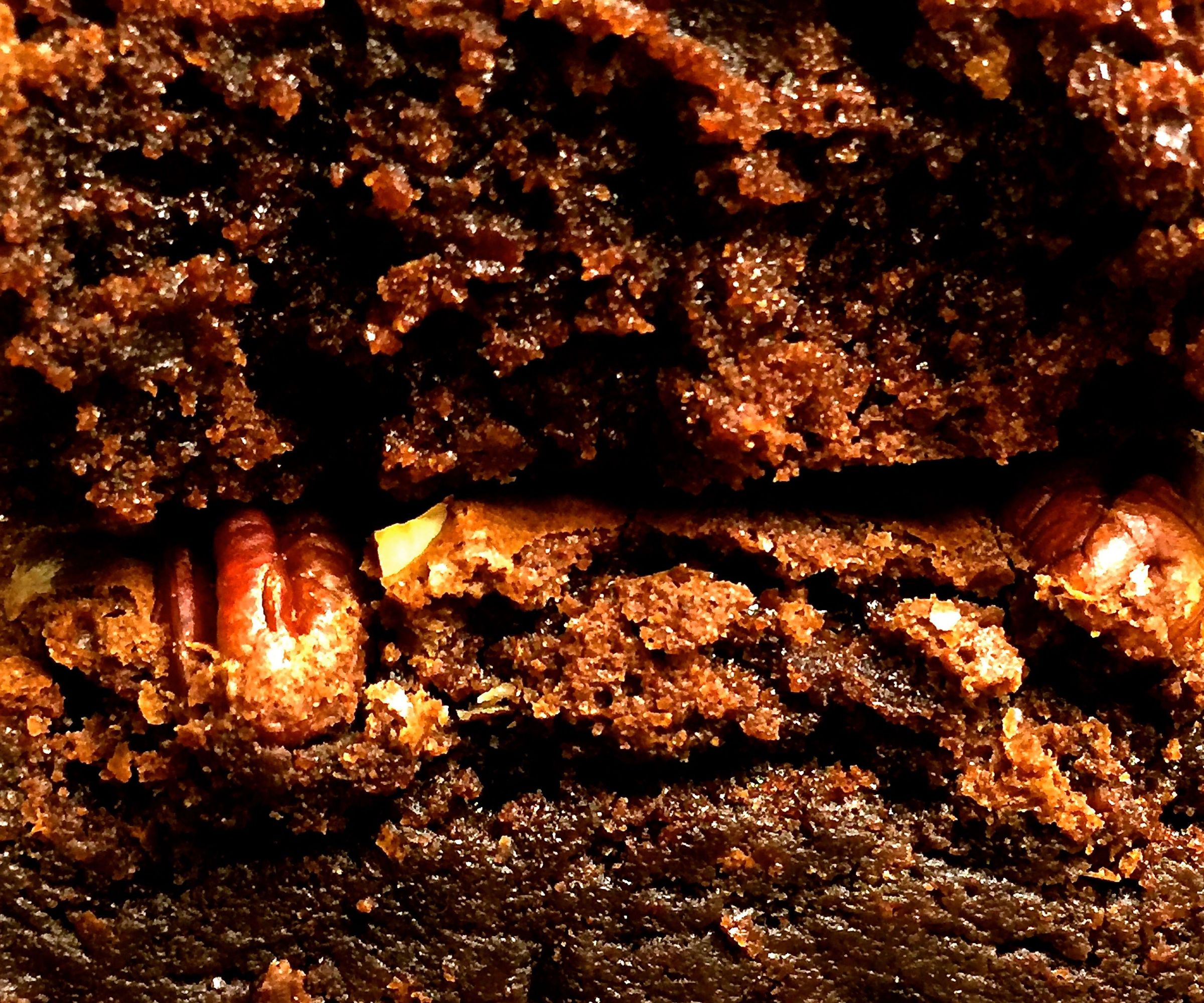 Decadent Chocolate Fudge Brownies