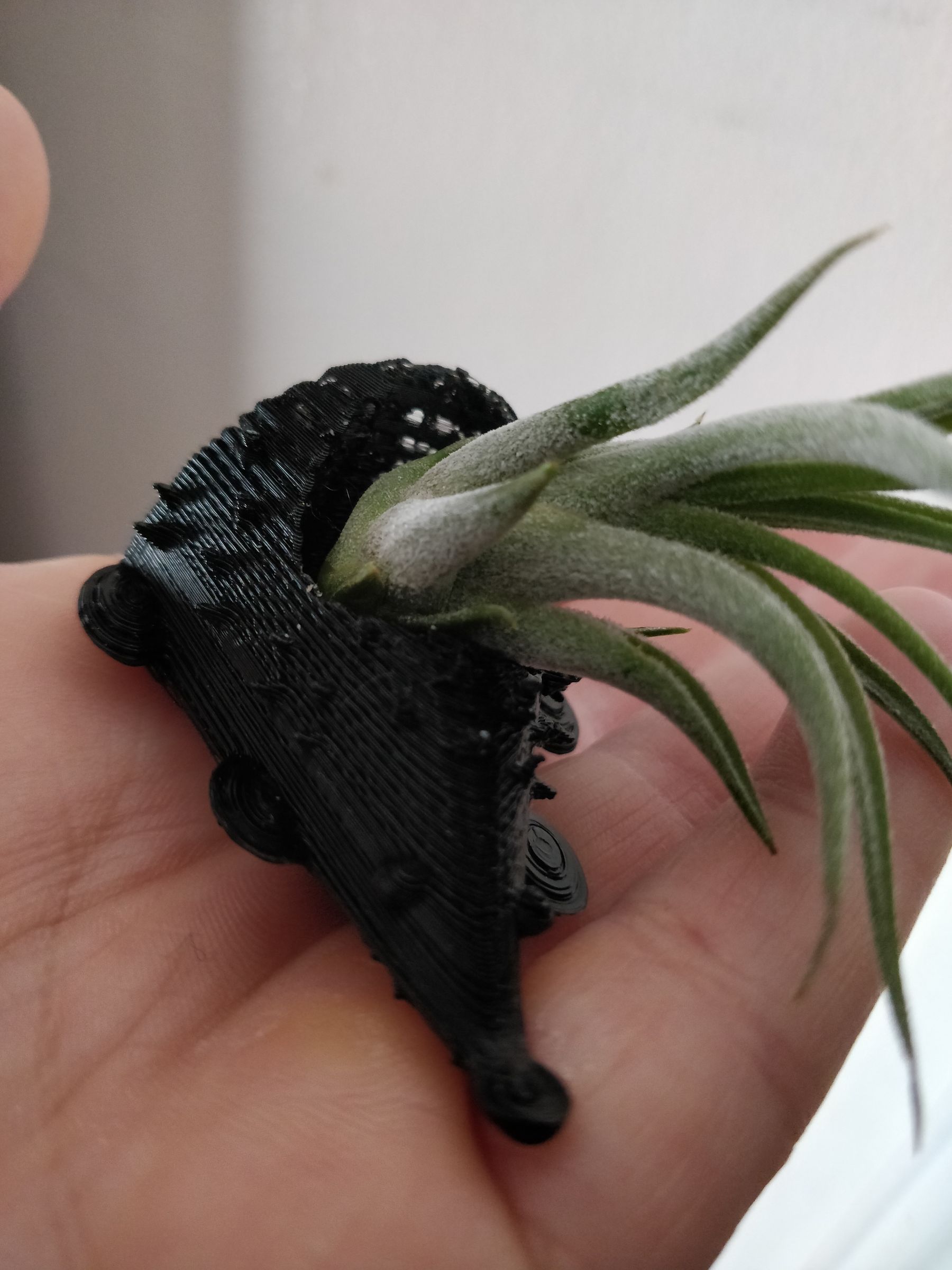 Hedgehog Planter on Tinkercad