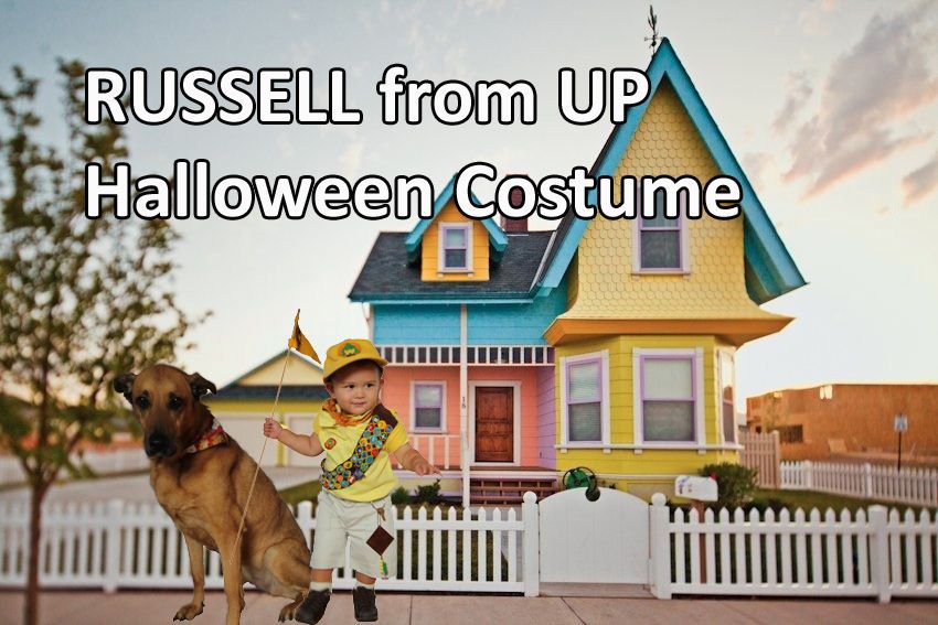 Russell from UP Halloween costume for Toddlers