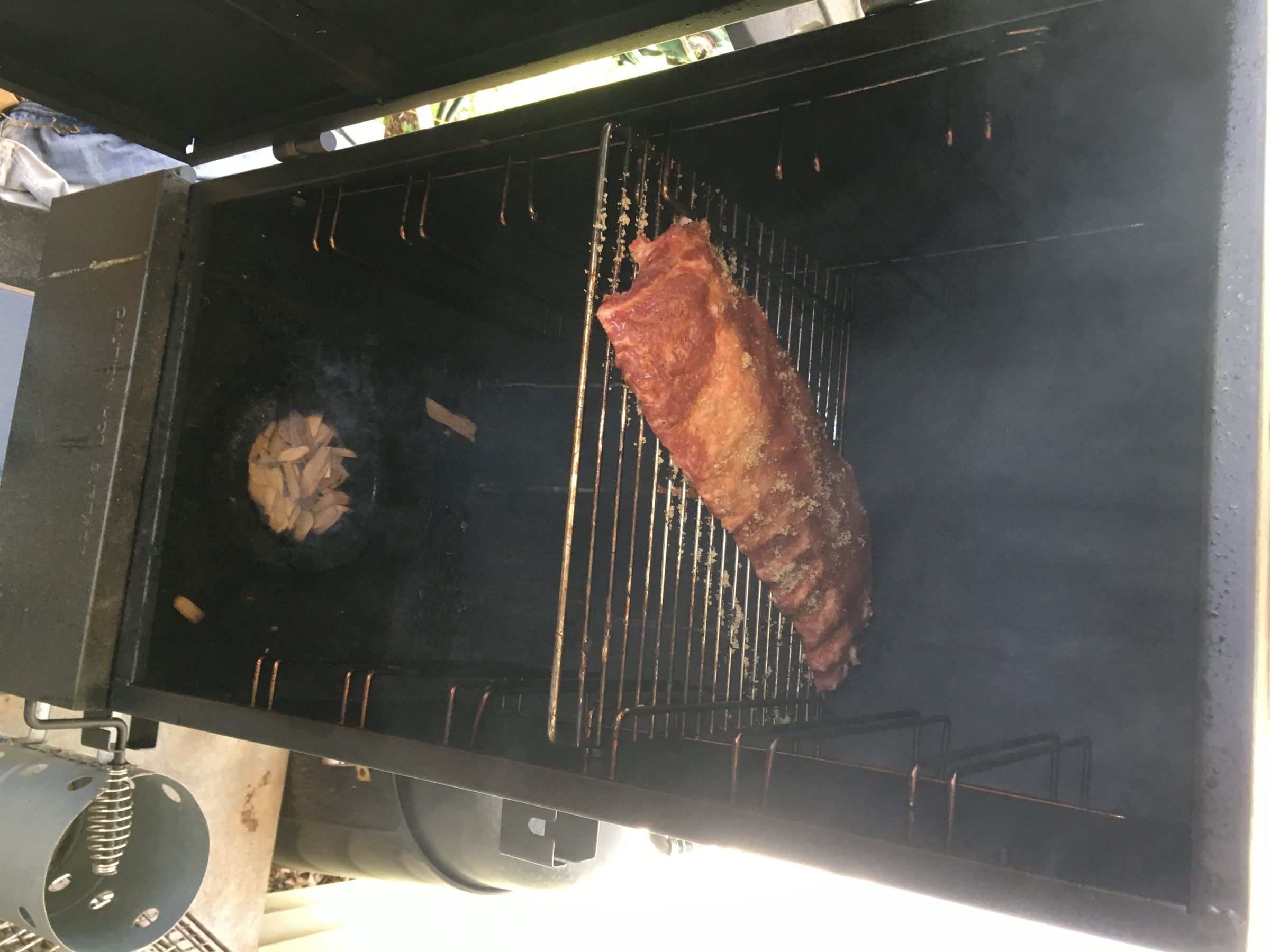 The Best Dry Rub Rib Recipe & BBQ Sauce WKU 8 Steps (with Pictures