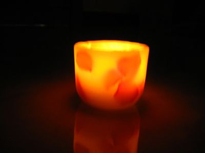 Hurricane Shell With Rose Petals