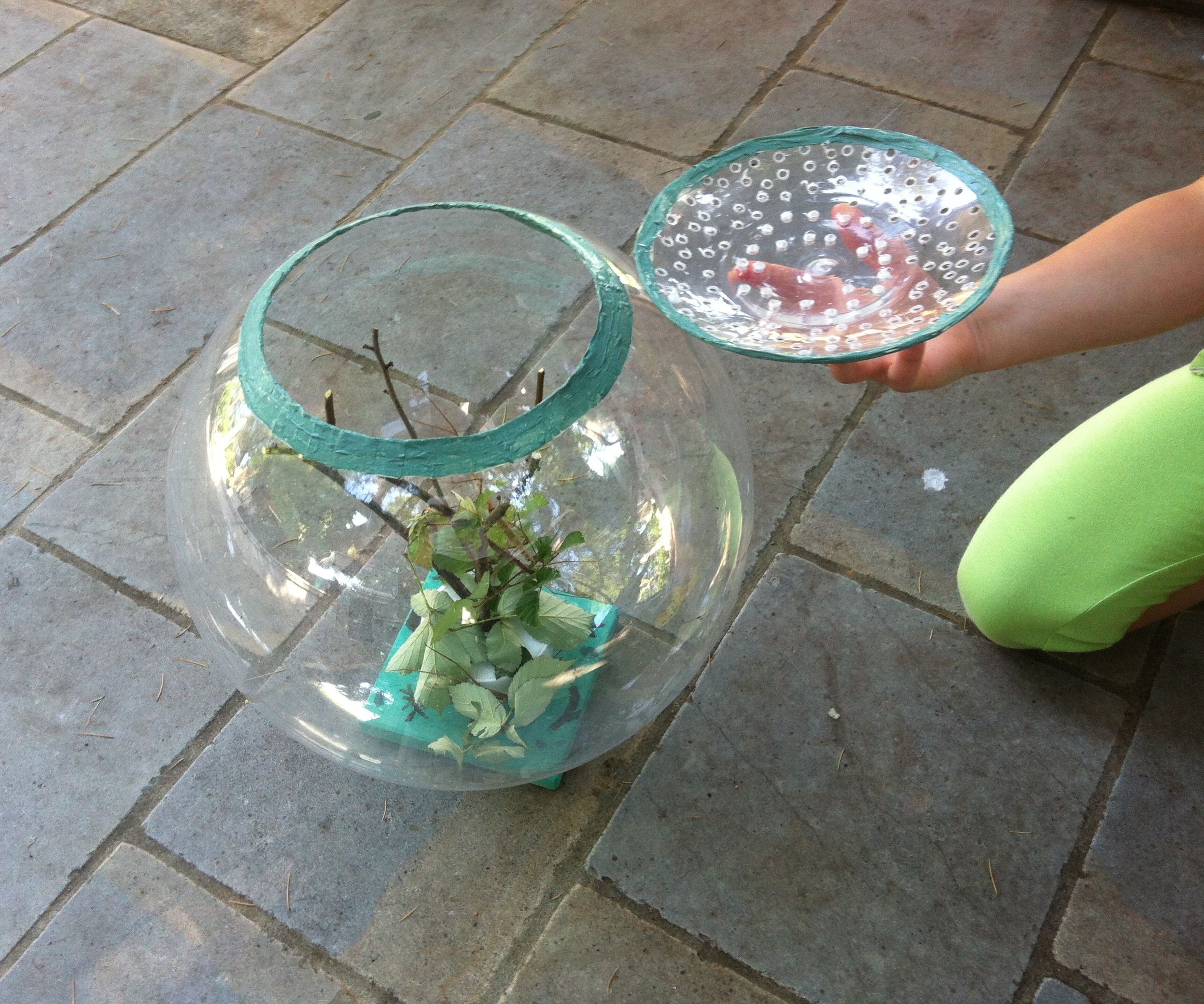 Key Keg Terrarium