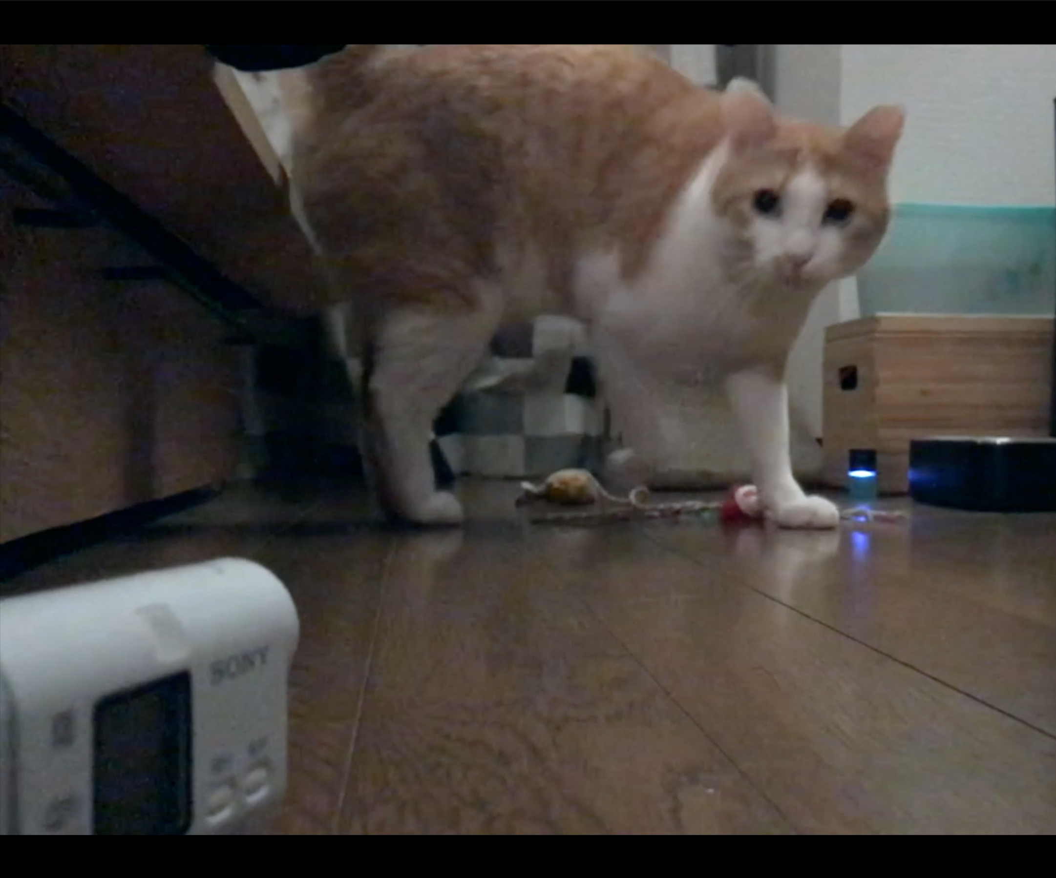 Motion Controlled Camera Using MESH SDK