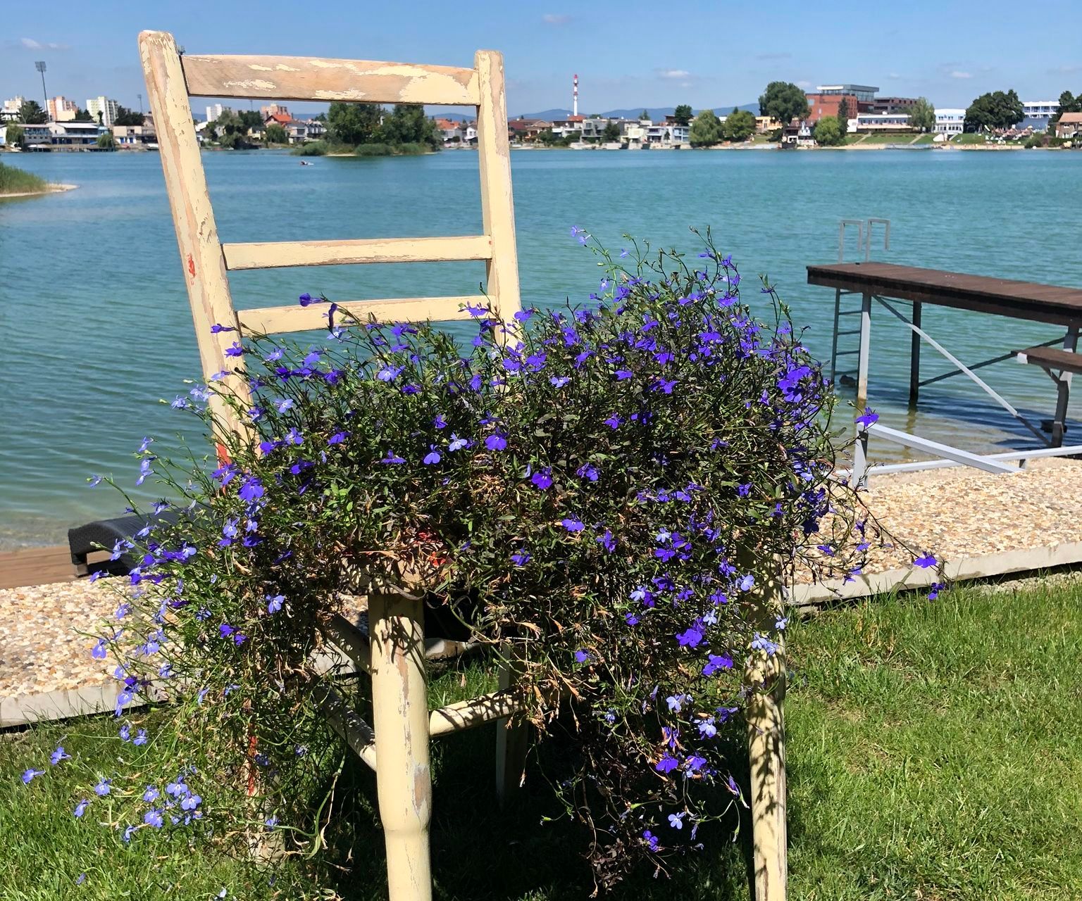 Garden Chair Flowers