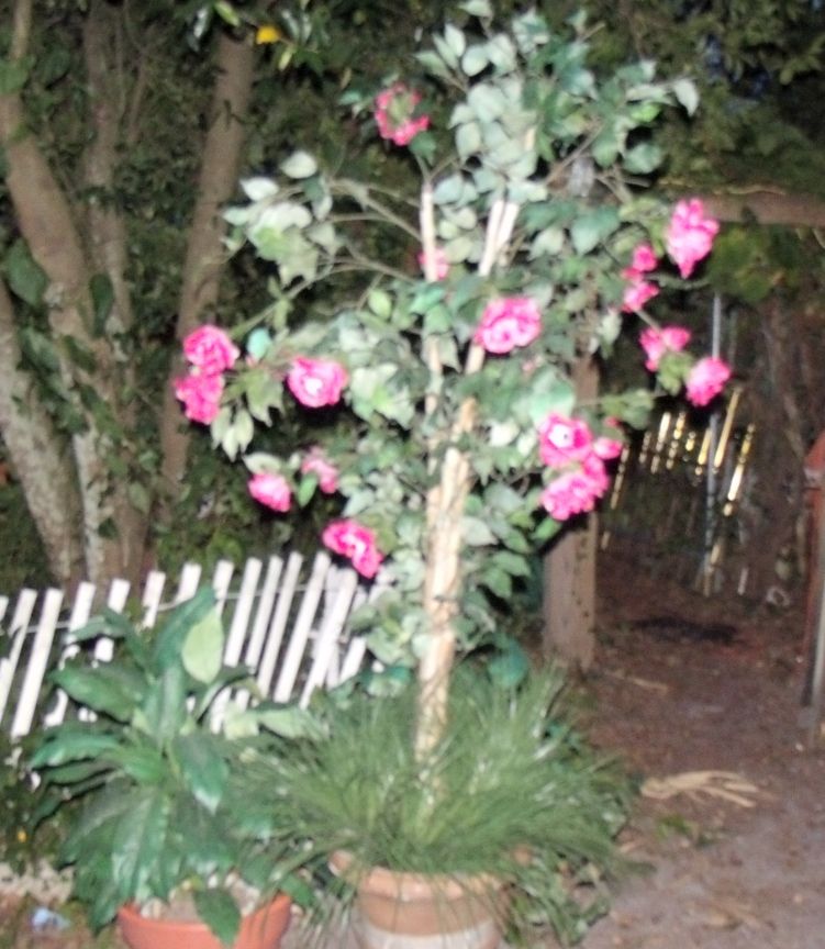 Trash to Treasure 10- Halloween Rose Tree
