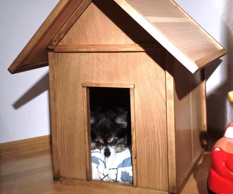 Dismantable Indoor Doghouse