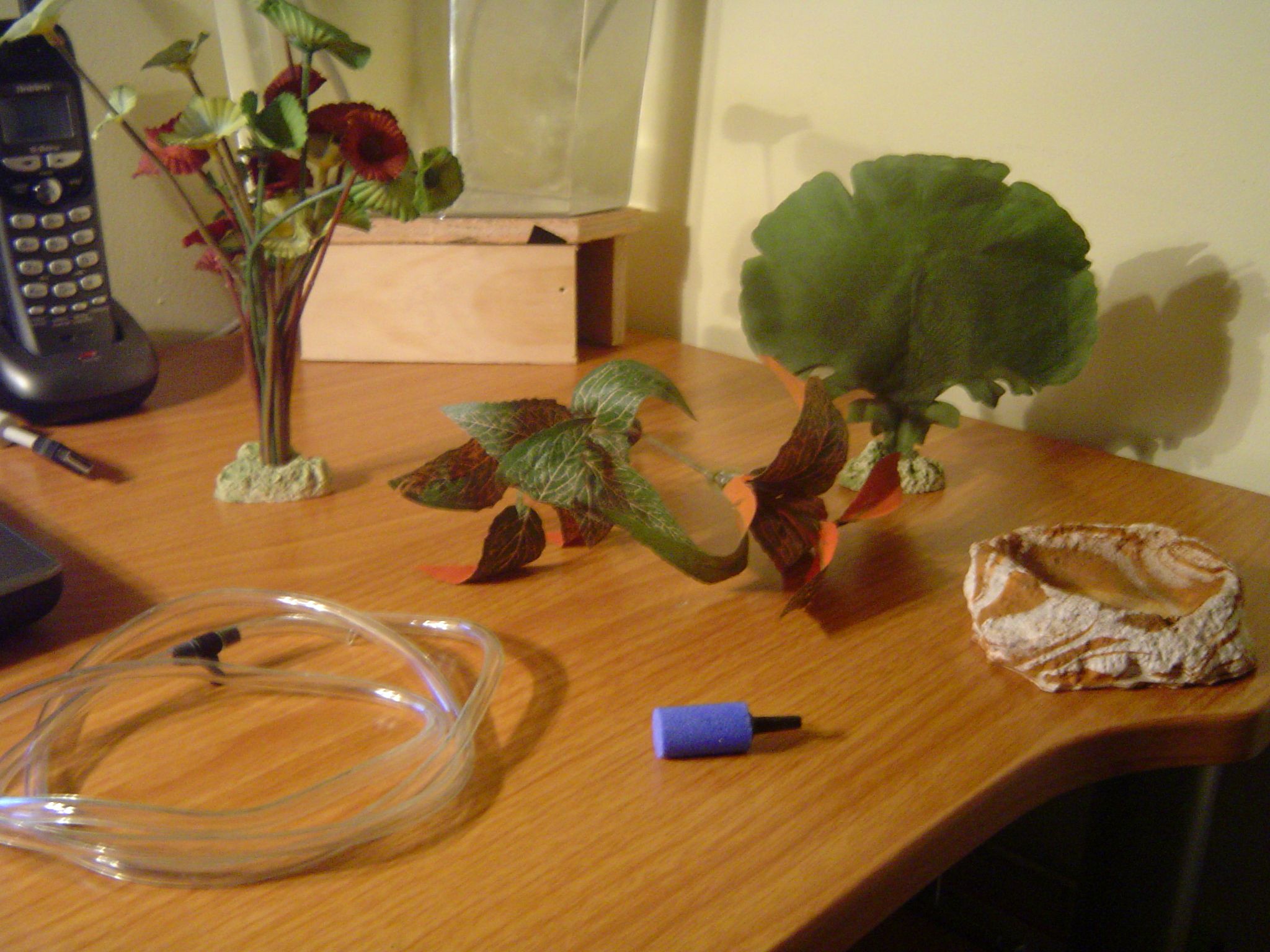 Air Bubbler Plants