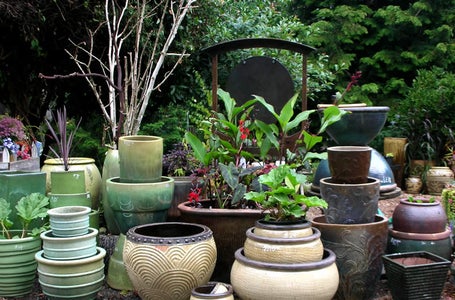 The Pot