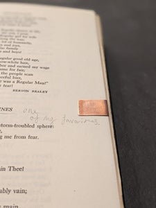 End Product & Next Steps!