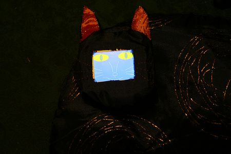 Fit the LCD Photo Frame