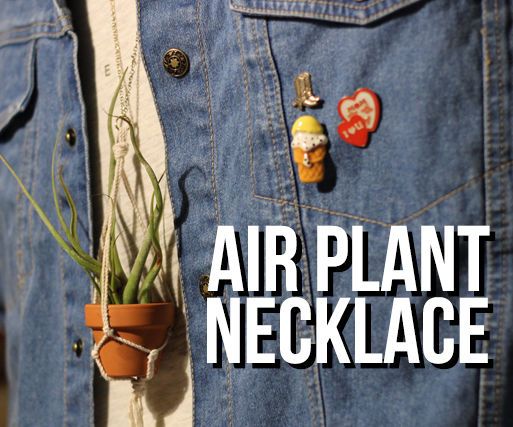 Macrame Tillandsia Airplant Necklace