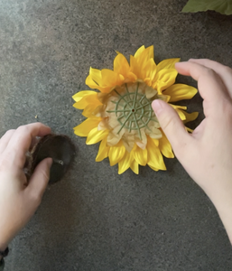 Disassemble the Sunflower