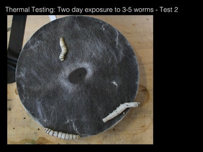 Experiment: Temperature Guided Deposition 
