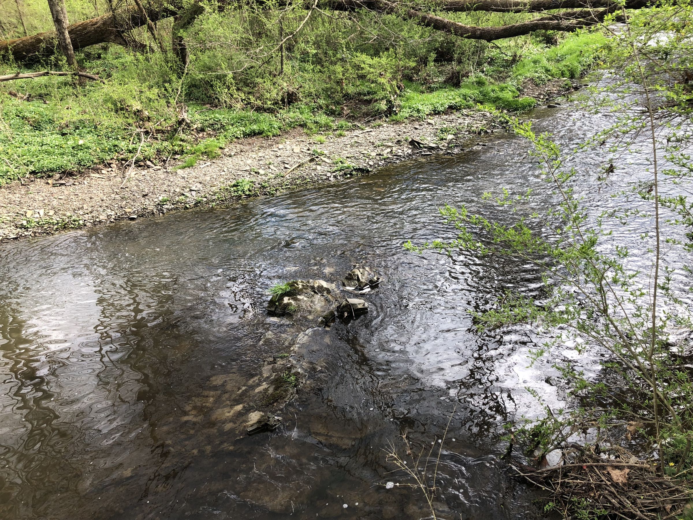 Homemade Jenga Block Spectrophotometer for Algae Experiments 15 Steps Instructables