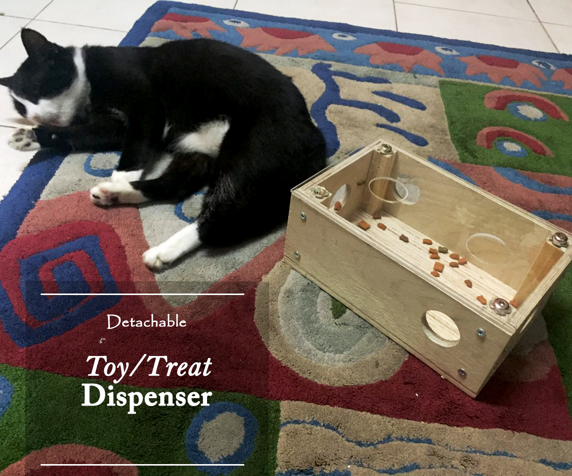 Detachable Toy/Treat Dispenser