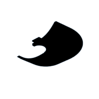 download {{ file.name }}