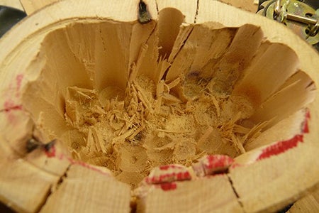 Removing Wood Debris From the Bottom Base