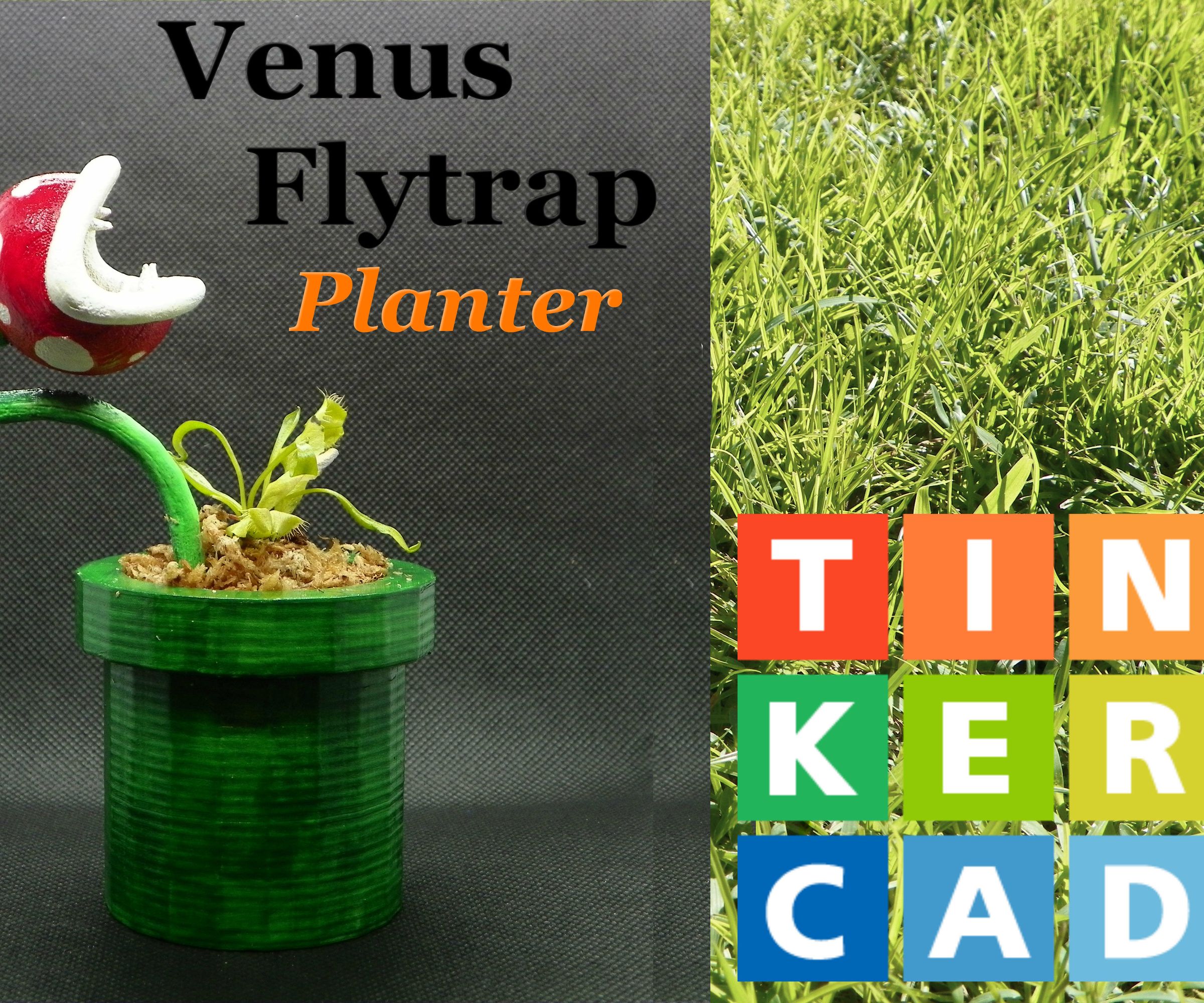 TinkerCAD - Piranha Planter